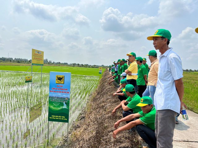 Canh tác lúa thông minh của Phân bón Bình Điền tham gia vào đề án 1 triệu ha chuyên canh lúa chất lượng cao - Ảnh 1.