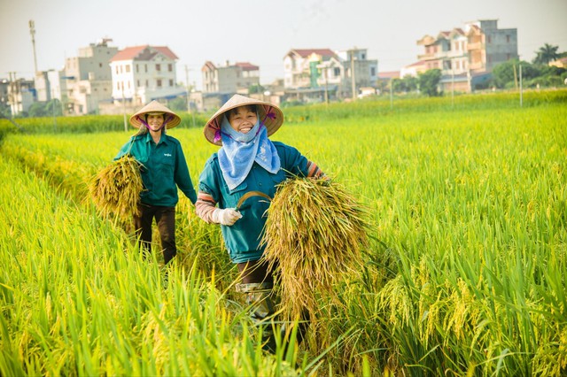Hưởng lợi từ những mặt hàng nông sản Việt Nam xuất khẩu ‘tỷ đô’, nhóm cổ phiếu liên quan được mùa ‘bội thu’