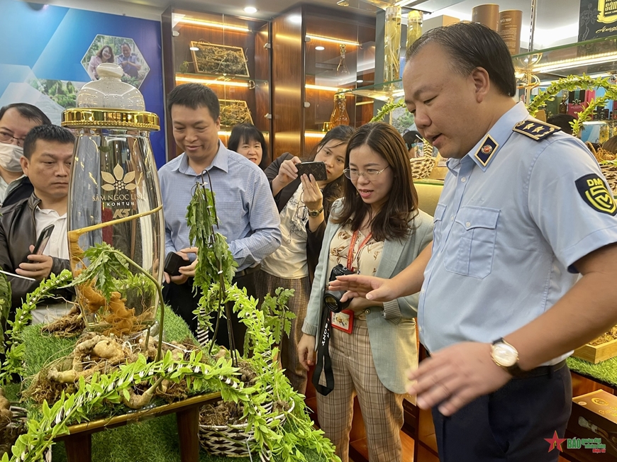 Mở cửa Phòng trưng bày “Nhận diện đúng sâm Ngọc Linh trên thị trường”