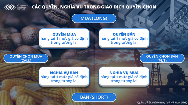 Chuẩn bị giao dịch Hợp đồng quyền chọn hàng hóa tại Việt Nam