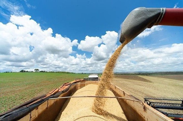 Cổ phiếu nông nghiệp đồng loạt “nổi sóng” từ một chất xúc tác “lạ”, có mã tăng bốc 60% sau vài tháng
