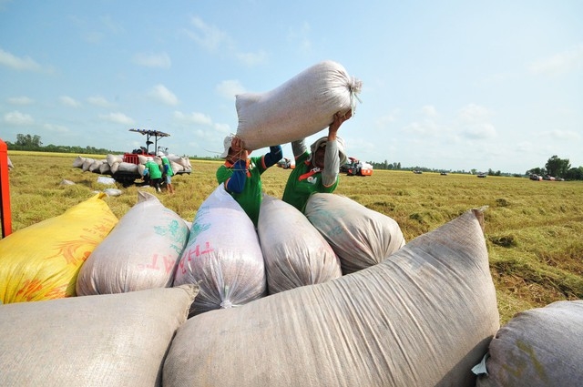 Trình Thủ tướng ban hành chỉ thị tăng cường xuất khẩu gạo trong tình hình mới