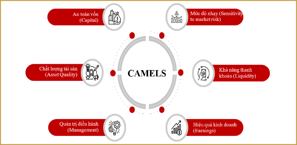 Mô hình CAMELS chưa phản ánh được hết rủi ro của các ngân hàng