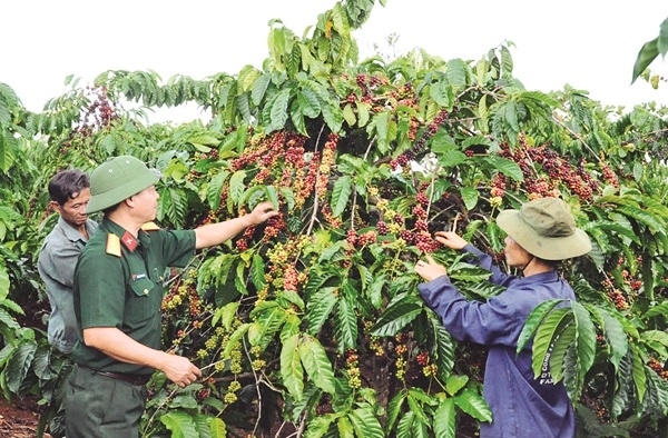 Cục Kinh tế, Bộ Quốc phòng: Triển khai thực hiện tốt các chương trình mục tiêu quốc gia