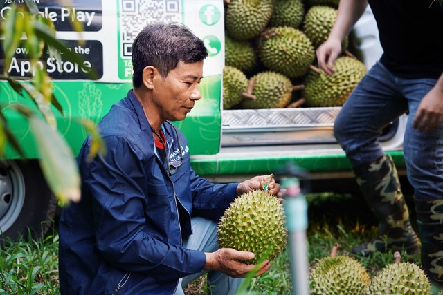 Dự án GrabConnect năm thứ ba hỗ trợ tiêu thụ gần 700 tấn trái cây