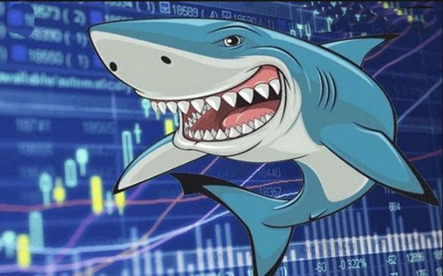 Loạt “cá mập” của Chứng trường bạc tỷ lộ diện với hiệu suất cao nhất lên đến 54%, nhà đầu tư chỉ còn ít ngày để đăng ký tham gia vòng 2