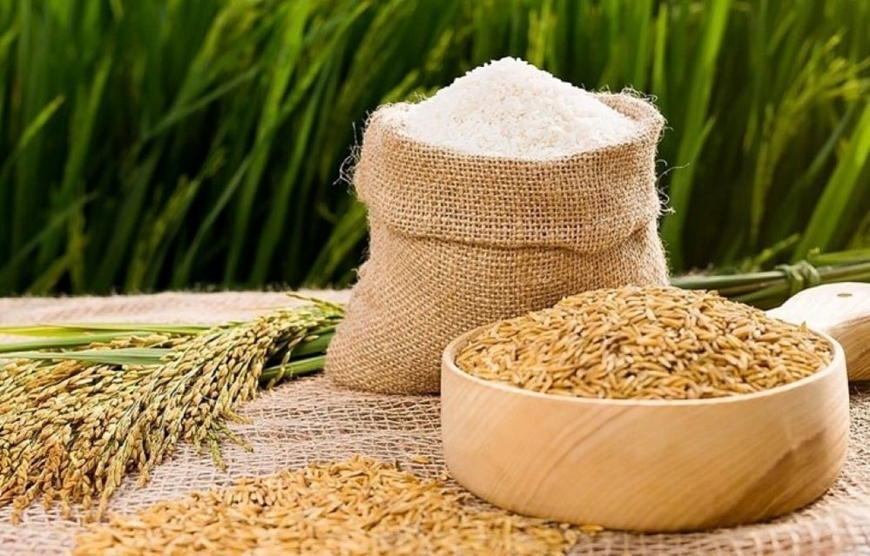 Giá lúa gạo hôm nay (19-2): Giao dịch sôi động