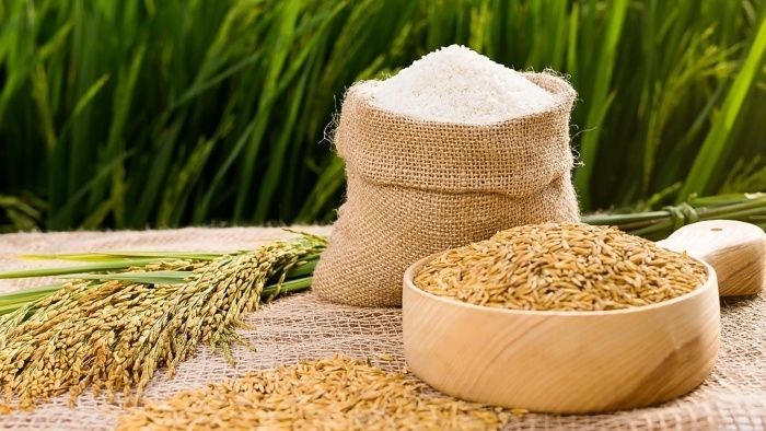 Giá lúa gạo hôm nay (28-2): Giá lúa tăng nhẹ, giá gạo ổn định
