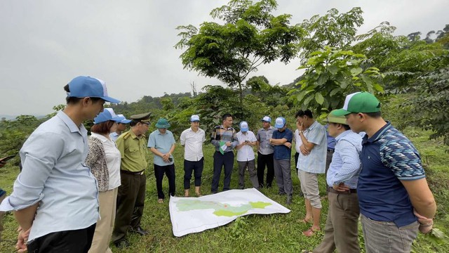 “Góp một cây để có rừng”: Hiệu quả xã hội hóa phục hồi rừng- Ảnh 1.