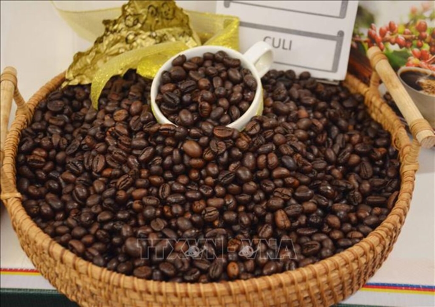 Giá cà phê hôm nay (17-5): Trong nước có xu hướng giảm nhẹ