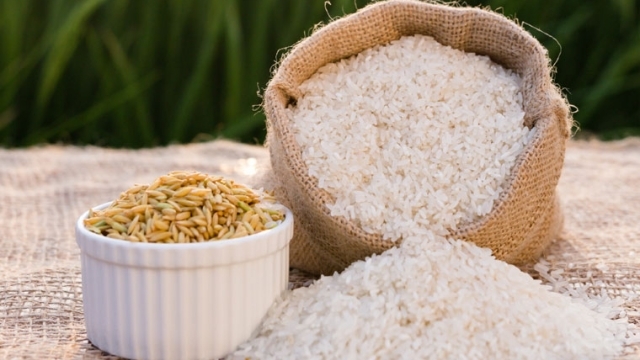 Giá lúa gạo hôm nay (5-5): Giá gạo xuất khẩu lấy lại “ngôi vương”