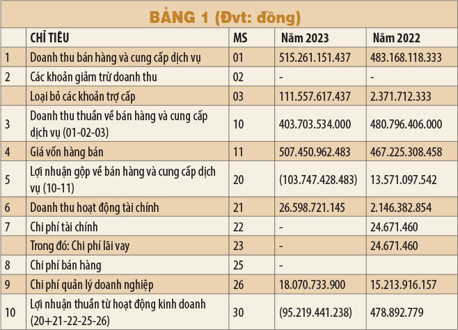 TPHCM có thể học gì từ kinh nghiệm khai thác tuyến đường sắt Cát Linh – Hà Đông?