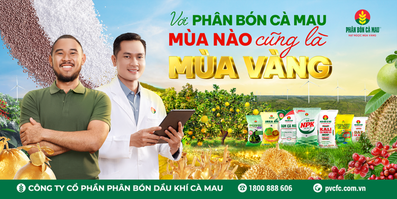 Phân bón Cà Mau đồng hành cùng bà con nông dân để gặt hái ‘mùa vàng’