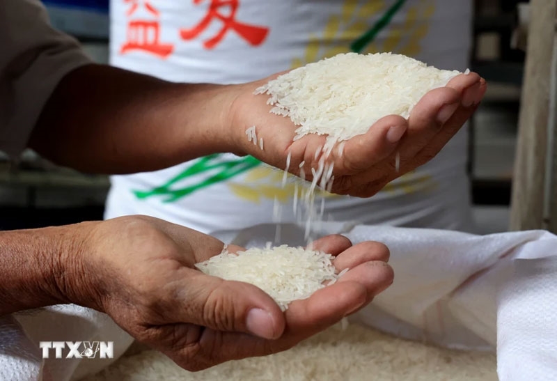 Giá lúa gạo hôm nay (24-7): Giao dịch chậm