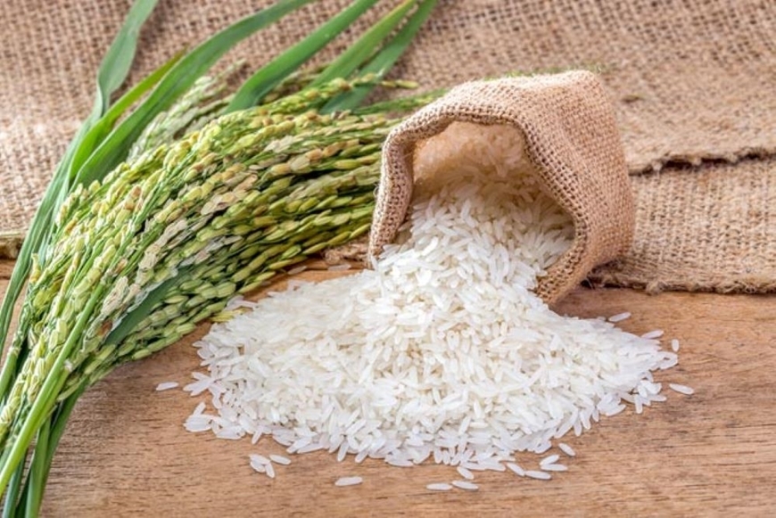 Giá lúa gạo hôm nay (26-7): Giá lúa trái chiều