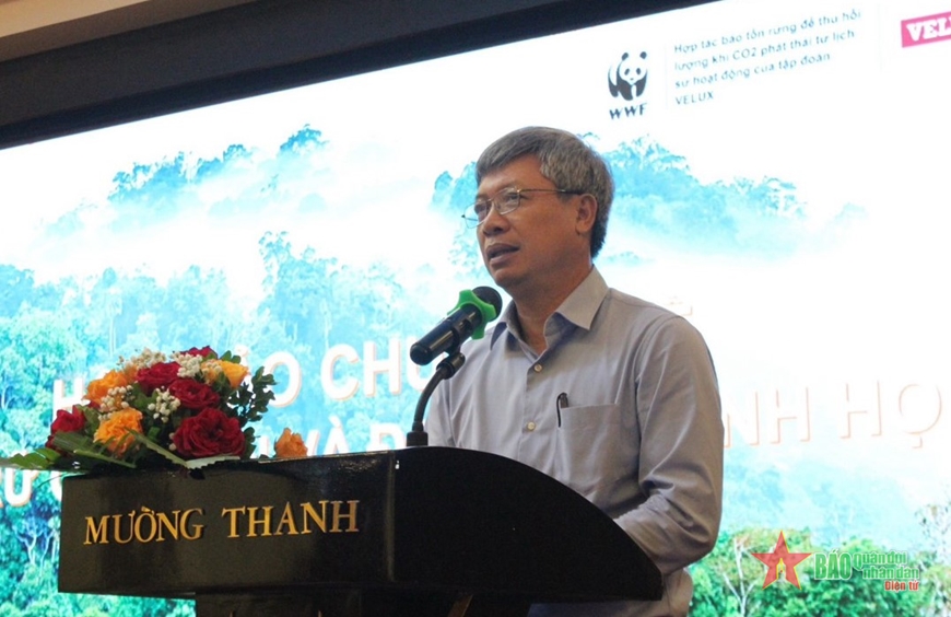 Quảng Nam: Thúc đẩy tham gia thị trường carbon để giữ rừng