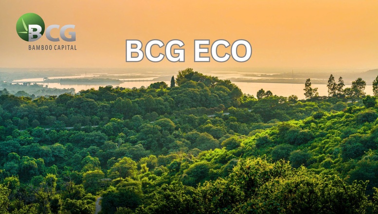 Bamboo Capital thành lập công ty trồng và chăm sóc rừng BCG Eco