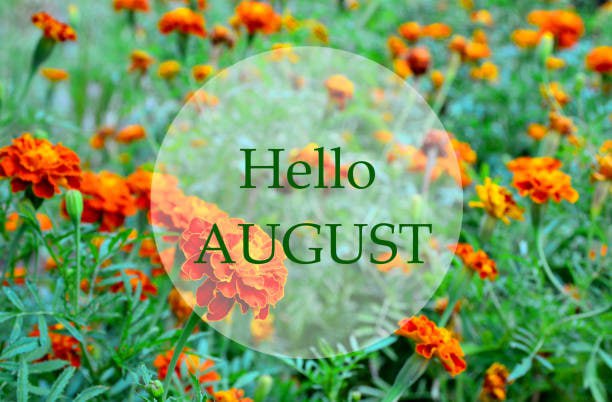 FATZ MORNING – HELLO AUGUST