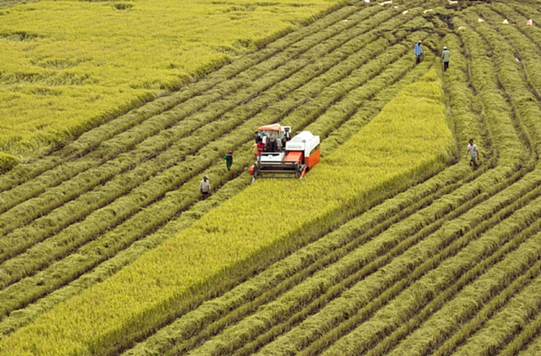 Luật Đất đai 2024: Cơ hội thu hút đầu tư vào nông nghiệp xanh