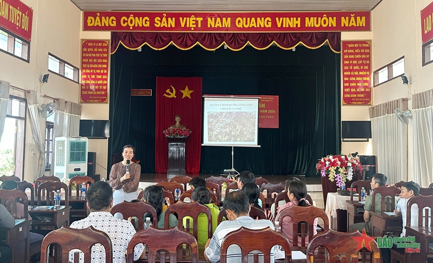 Binh đoàn 16 tập huấn công tác kỹ thuật, thâm canh vườn bơ theo tiêu chuẩn VietGAP