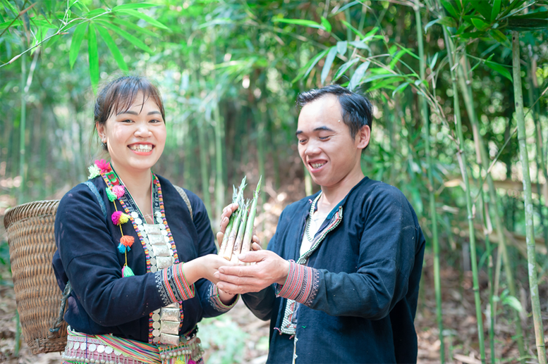 Hỗ trợ chuyển đổi số cho doanh nghiệp nhỏ và vừa tỉnh Lào Cai, Sơn La