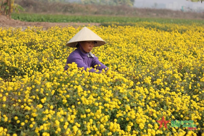 Kiểm soát an toàn thực phẩm từ các yếu tố đầu vào