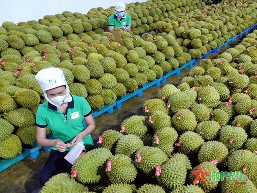 Lần đầu tiên Lễ hội trái cây Việt Nam được tổ chức tại Bắc Kinh