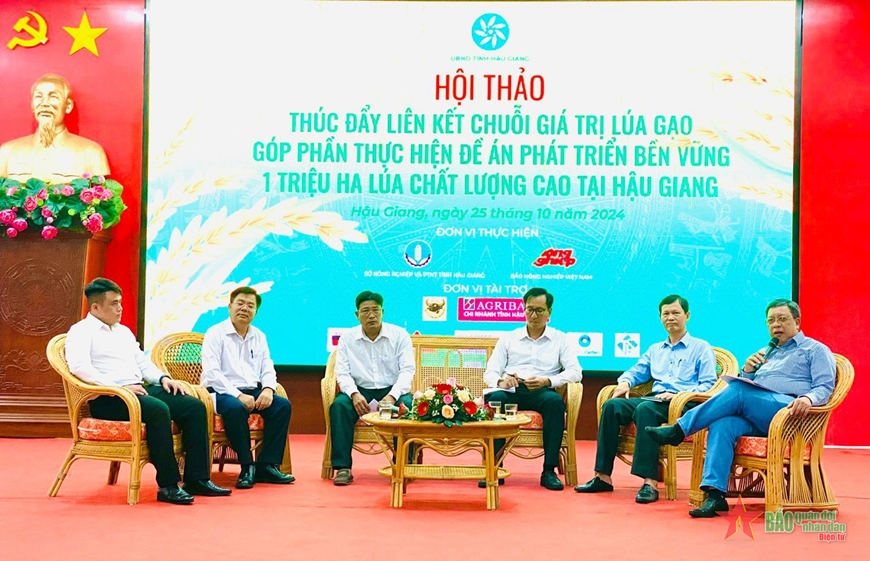 Hậu Giang: Hội thảo thúc đẩy liên kết chuỗi giá trị lúa gạo