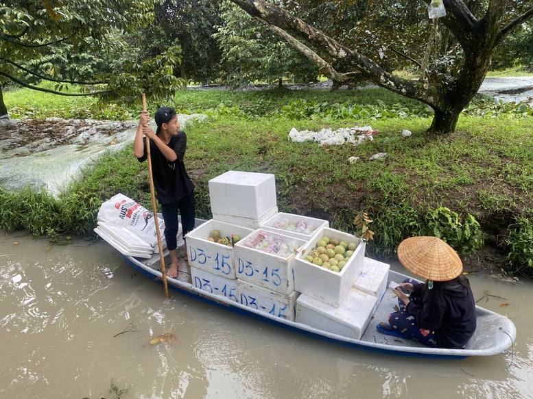 Vốn tín dụng xanh khơi thông khi minh bạch chuỗi sản xuất