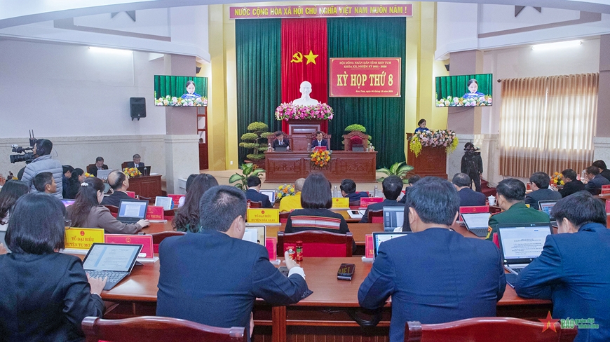 Tỉnh Kon Tum đặt mục tiêu trồng mới gần 1.580ha sâm Ngọc Linh trong năm 2025