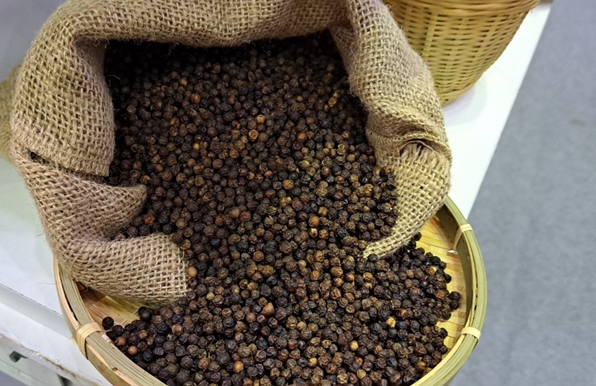 Bản tin nông sản hôm nay (31-12): Giá cà phê, hồ tiêu tăng nhẹ