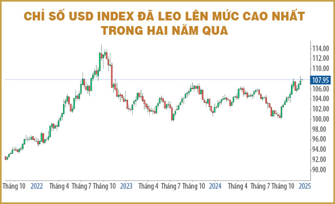 Thị trường ngoại hối 2025 – rủi ro từ Fed, thương mại và vốn đầu tư nước ngoài