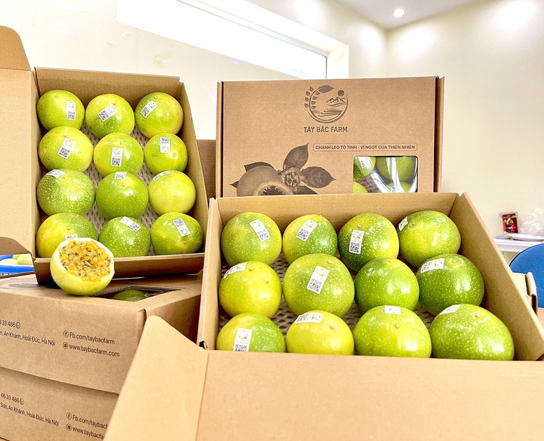 Ngành rau quả chung tay đưa xuất khẩu đạt 10 tỷ USD