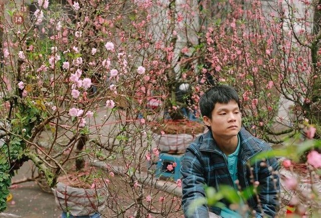 Nhà đầu tư mất đào chơi Tết vì kẹp hàng cổ phiếu “cây thông”