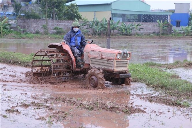7 địa phương đã hoàn thành lấy nước gieo cấy vụ Đông Xuân