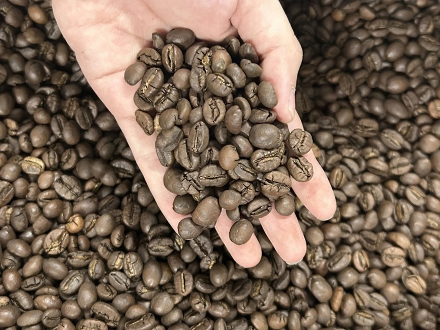 Bản tin nông sản hôm nay (7-3): Giá cà phê giảm mạnh