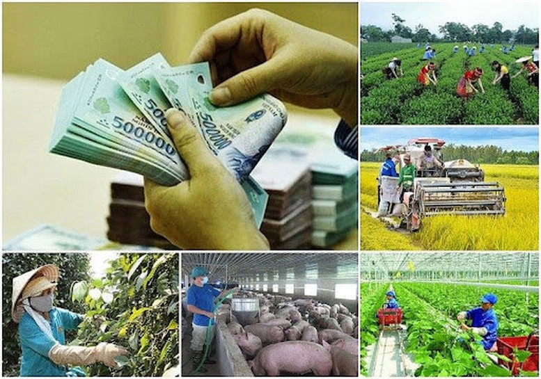 Khẩn trương hoàn thành phân bổ vốn các chương trình mục tiêu quốc gia trước 31/3/2025