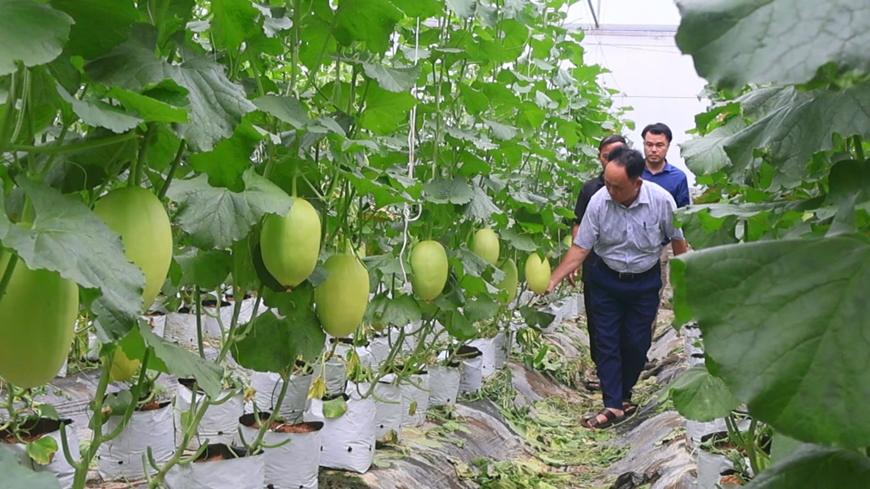 Sản xuất nông nghiệp 2 tháng đầu năm 2025 tiếp tục tăng trưởng khả quan