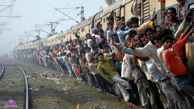 Chứng khoán rung lắc dữ dội, nhà đầu tư trong nước “ồ ạt” mở tài khoản