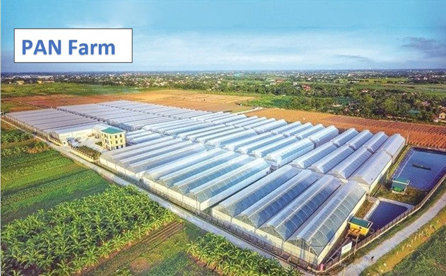 Một công ty con của Pan Group vay nợ ngân hàng tăng gấp 5,7 lần