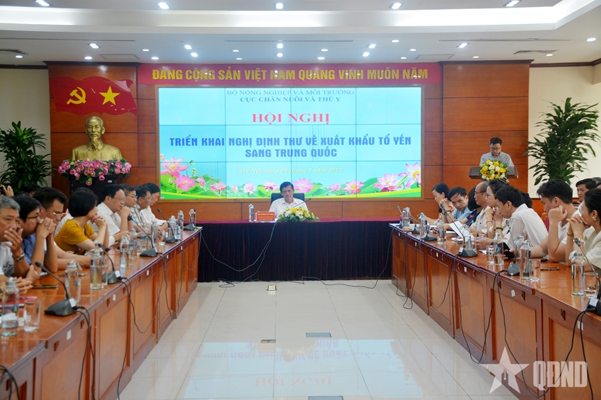 Tổ yến thô sẽ được xuất khẩu chính ngạch sang Trung Quốc