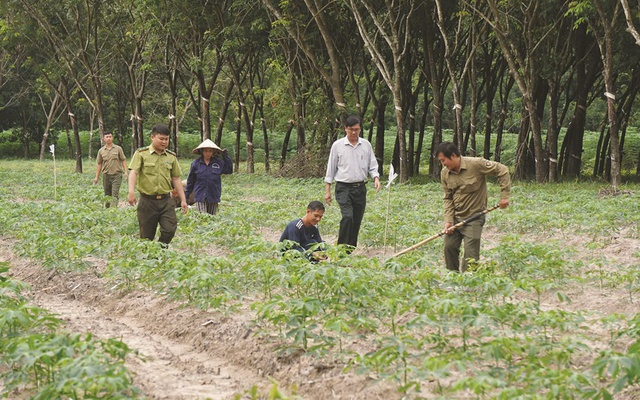 Vietcap khởi động dự án cộng đồng “Go Green Go Up”