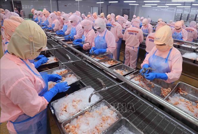 Hoa Kỳ công bố kết quả sơ bộ về thuế chống bán phá giá với tôm Việt Nam