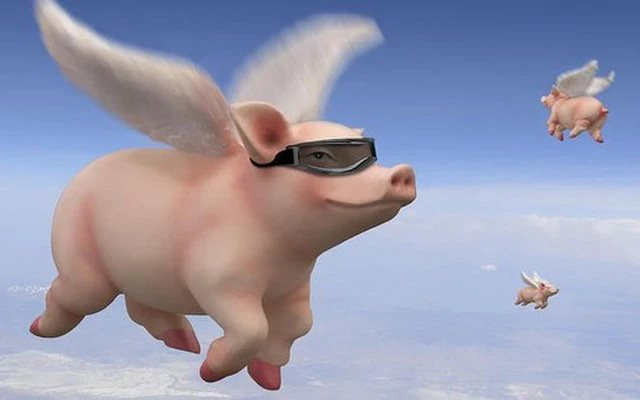 Cổ phiếu các đại gia chăn nuôi heo bốc đầu, DBC “cháy hàng” sau vụ C.P bị tố bán heo bệnh