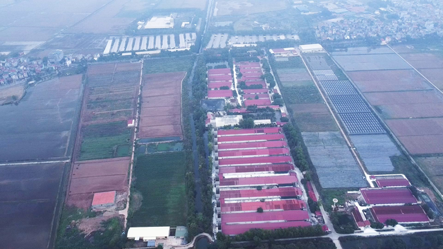 Dabaco được chấp thuận đầu tư dự án Cụm công nghiệp Lạc Vệ tại Bắc Ninh