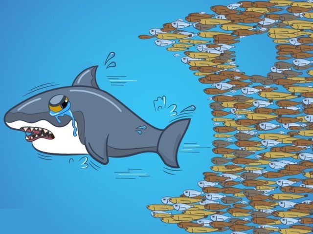 Không chỉ nhà đầu tư cá nhân, loạt quỹ ngoại tên tuổi cũng thua VN-Index