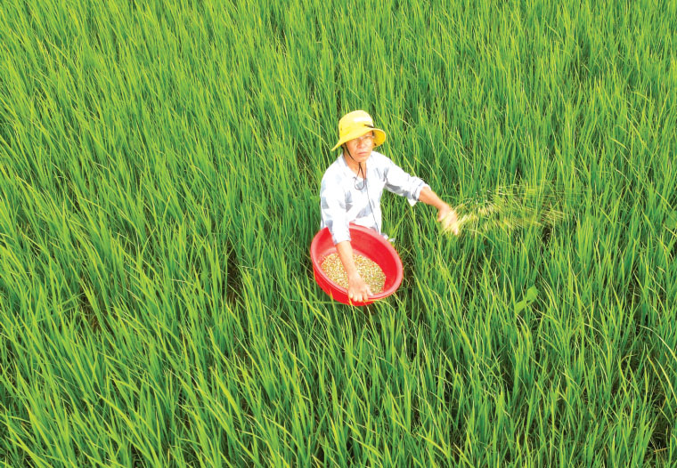 Chứng khoán tháng 7 – Khó lường trước thuế quan