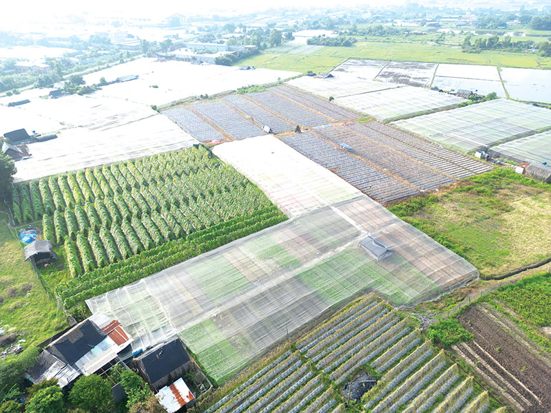 Sẽ giảm chi phí chuyển đổi đất nông nghiệp