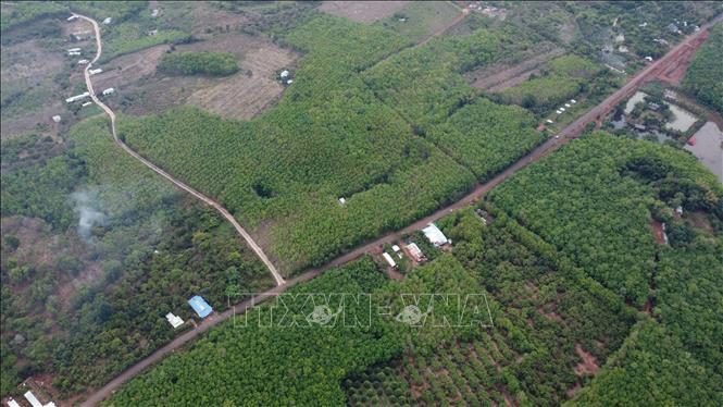 Đồng Nai đầu tư hơn 133 tỉ đồng xây cầu Mã Đà kết nối liên vùng