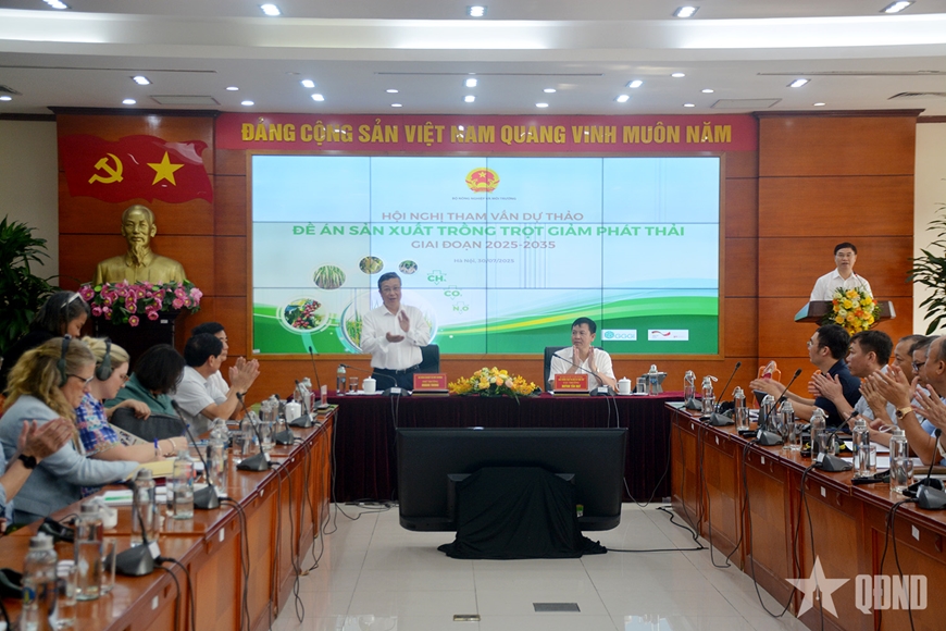 Trồng lúa, mía, cà phê giảm phát thải giúp giảm chi phí đầu vào 5-15%